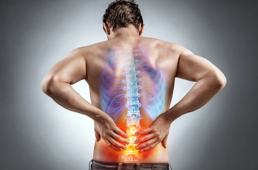  10 Effective Exercises To Fix Back Pain – For All Times